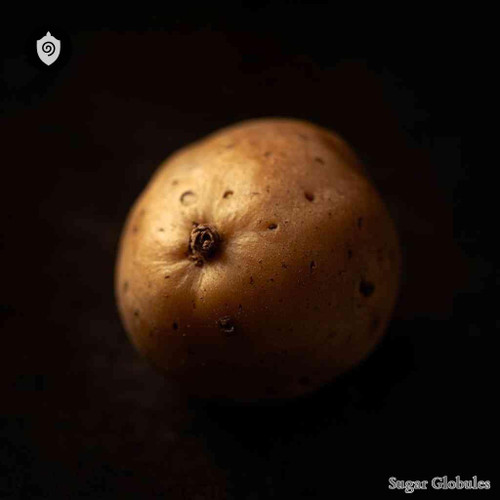 Solanum Tuberosum sugar spheres in uniform granule form for energetic homeopathic (nonmedical) dry storage and physical presentation