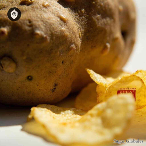 Solanum Tuberosum - Chips Solani sugar spheres in uniform orb format for energetic homeopathic (nonmedical) dry-form presentation
