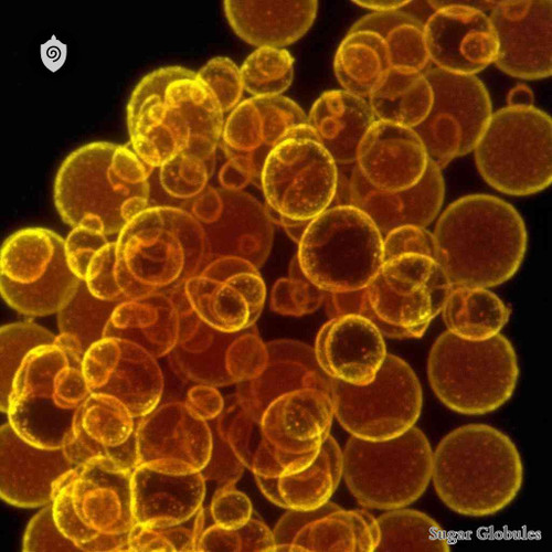 Staphylococcus Aureus Methicillin-Resistant sugar spheres in uniform pellet form for energetic homeopathic (nonmedical) packaging