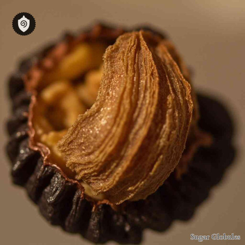 Stigmata Maydis Putamen sugar spheres in compact pellet form for precise energetic homeopathic (nonmedical) remedy presentation