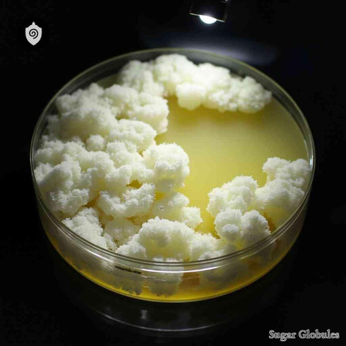 Streptomyces Albus sugar spheres in consistent pellet form for energetic homeopathic (nonmedical) dry-form product presentation