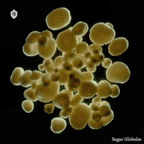 Torula Cerevisiae sugar spheres in uniform orb form for energetic homeopathic (nonmedical) dry-form presentation and precise dosing