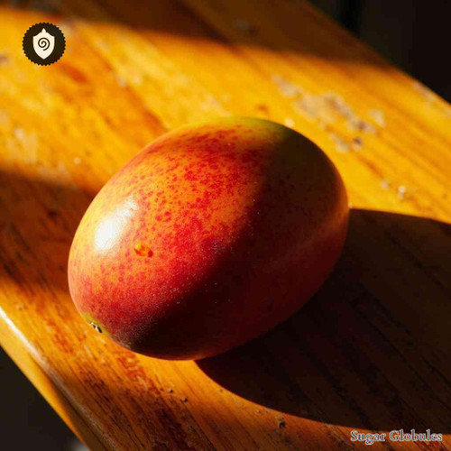 Mango sugar spheres in compact pellet form for energetic homeopathic (nonmedical) dry-format presentation and precise measurement