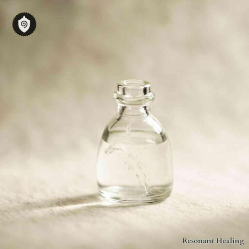 Armadillidium Vulgare - Clarity Tuning Rhythm with sound waves resonance and energy frequency alignment