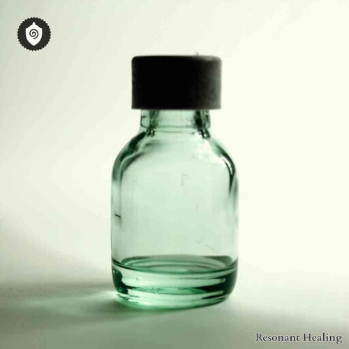 Drypetes Madagascariensis - Flow Peace Vibration in sound waves energy featuring calm aura harmony