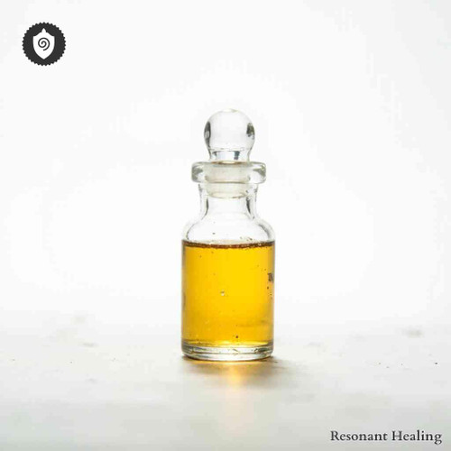 Fomitopsis Pinicola-Polyporus Pinicola - Resonant Healing