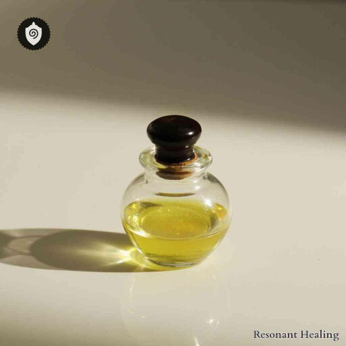 Nautilus Macromphalus - Body Aura Soul with resonant sound waves and vibration tuning for aura clarity