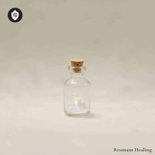 Nephila Edulis - Meditation Mind Light in sound waves harmony with resonant energy and vibrational tuning