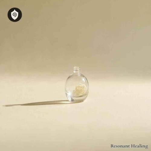 Nothapodytes Nimmoniana - Rhythm Aura Spirit featuring sound waves and energy vibration for aura harmony