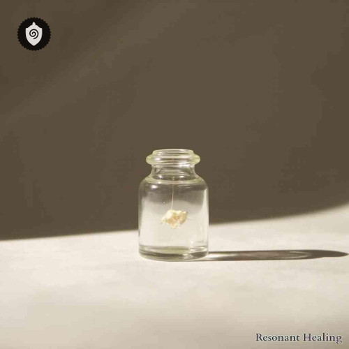 Ocimum Sanctum - Vibration Waves Awakening with resonant tone and spirit frequency alignment for aura balance