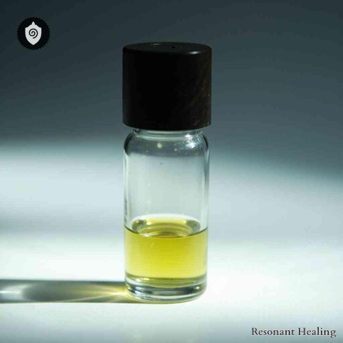 Pinus Palustris - Tuning Energy Stillness featuring sound waves resonance and aura vibration alignment