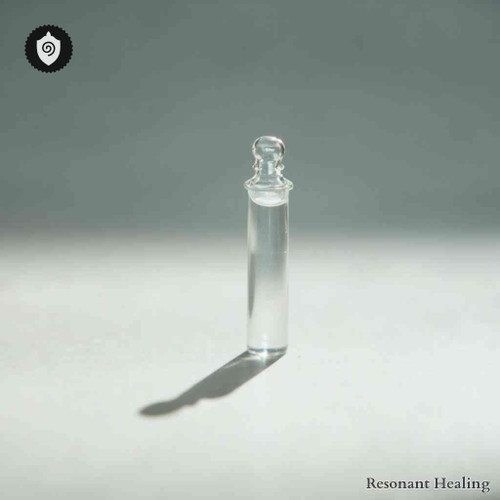 Rhytidiadelphus Triquetrus - Energetic Meditation with sound waves harmony and resonant frequency tuning