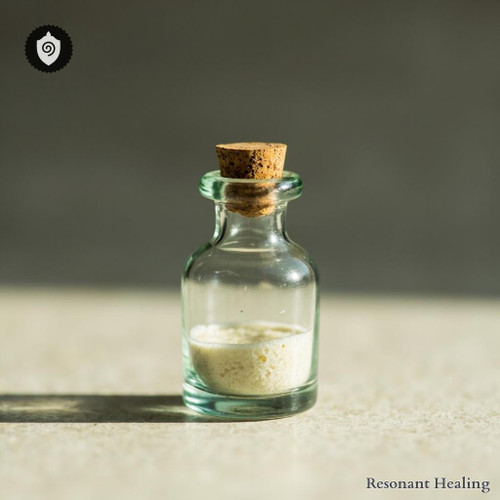 White Dead Nettle visualized as resonant body clarity echoing harmonic light motion.