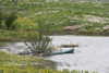 Pond with a Boat