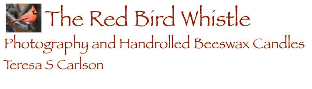 redbirdlogo.jpg