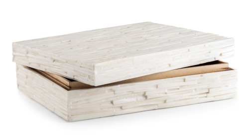 Bone Box [GGAOT0016]