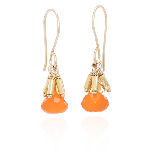 Gemstone Beaded Earrings [JEOTH0287]