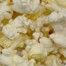Parmesan Garlic 3/4 gallon bag