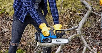 Three Ways You Can Help Support Wildlife