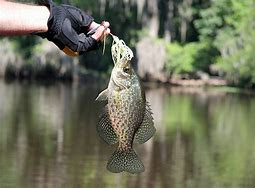 Getting Down and Dirty