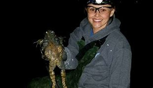 In the Dead of Night