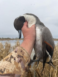 Caught in an Ecological Trap