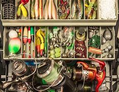 One Is Not Like the Other