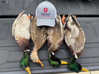 Late Season Duck Hunting: Tips for Success in the Final Stretch