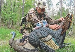 Set 'Em Up to Knock 'Em Down