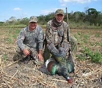 Be Very Very Quiet, I'm Hunting Turkey