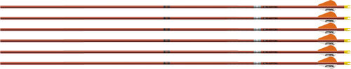 EASTON ARROW FMJ 5MM 340 W/ 2" BULLY VANES 6-PACK AUTUMN ORG