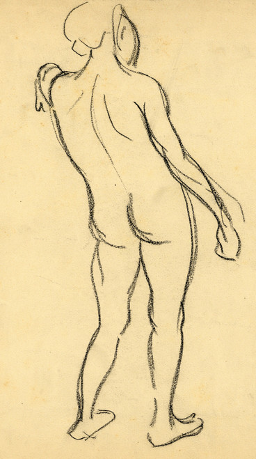 Gallery Edition study of Albert Daenens's lichaam.