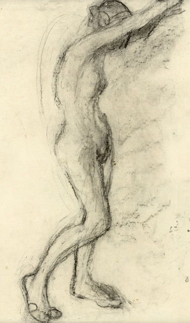 Gallery Edition study of Albert Daenens's lichaam.