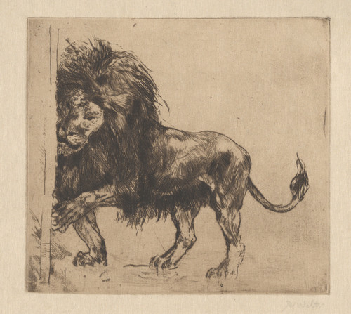 Gallery Edition study of Albert Welti's Kratzender Löwe.