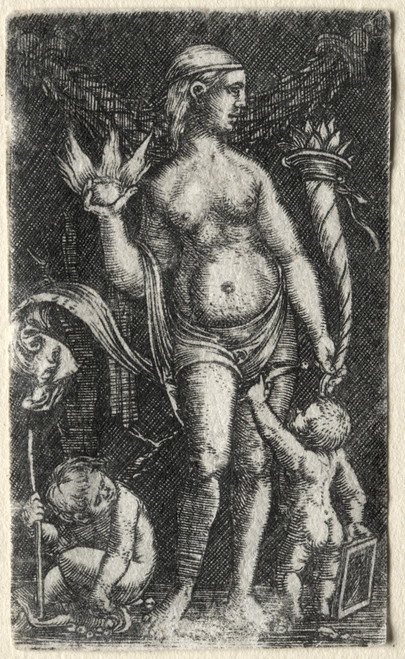 Gallery Edition study of Albrecht Altdorfer's Venus between two cupids.