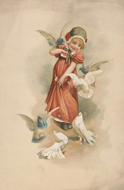 Gallery Edition study of Alfred Miessner's Doves.