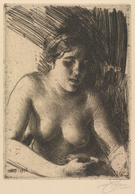 Gallery Edition study of Anders Zorn's Bust.