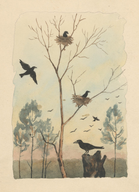 Gallery Edition study of Andrej Kováčik's Crow.