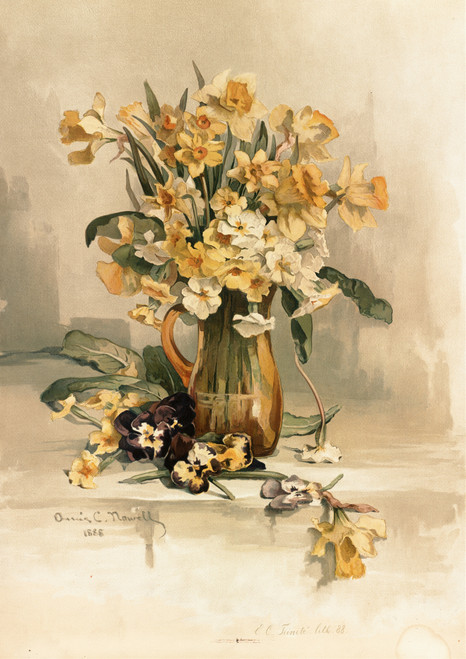 Gallery Edition study of Annie Nowell's Jonquils.