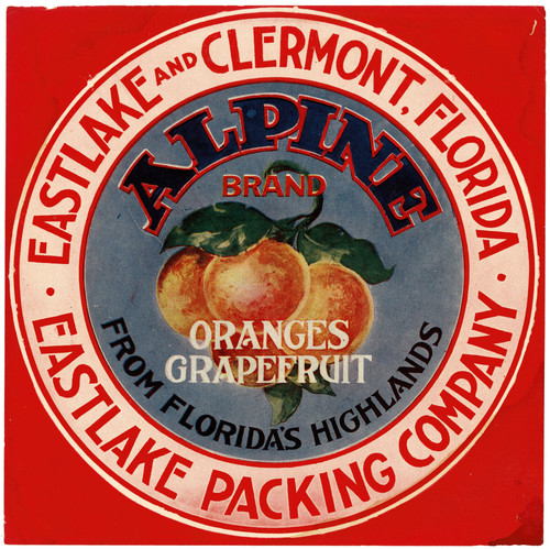 Gallery Edition study of Anonymous's Alpine Brand Oranges and Grapefruits Label.