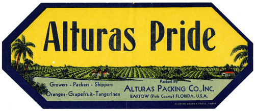 Gallery Edition study of Anonymous's Alturas Pride Citrus Label.