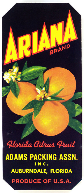 Gallery Edition study of Anonymous's Ariana Brand Florida Citrus Fruit Label.