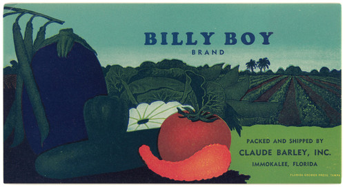 Gallery Edition study of Anonymous's Billy Boy Brand Vegetable Label.