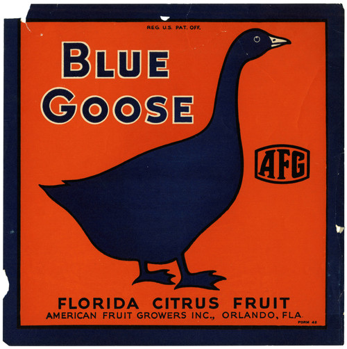 Gallery Edition study of Anonymous's Blue Goose Florida Citrus Fruit Label.