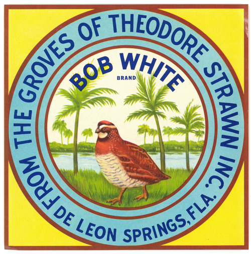 Gallery Edition study of Anonymous's Bob White Brand Citrus Label.