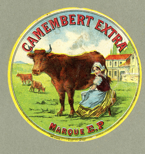 Gallery Edition study of Anonymous's Camembert extra.