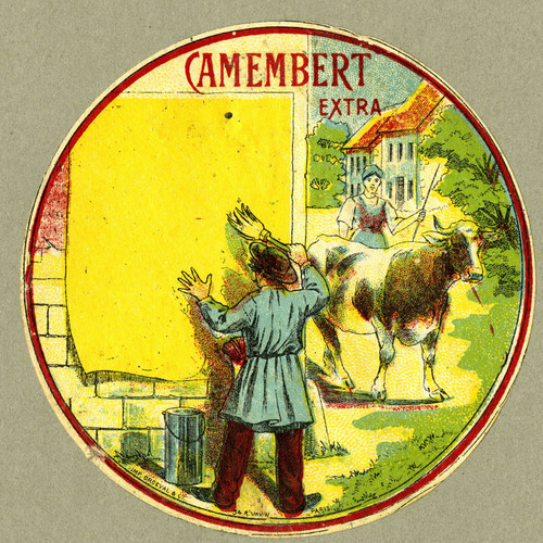 Gallery Edition study of Anonymous's Camembert extra.