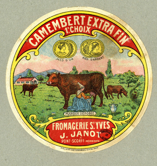 Gallery Edition study of Anonymous's Camembert extra fin.