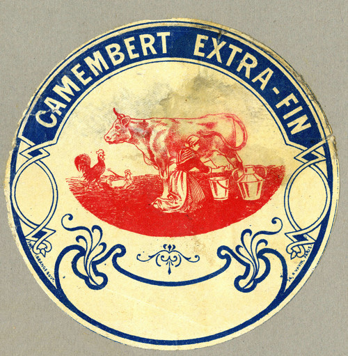 Gallery Edition study of Anonymous's Camembert extra fin.