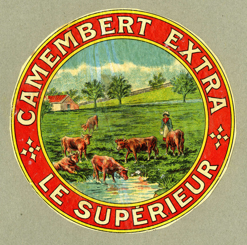 Gallery Edition study of Anonymous's Camembert extra le supérieur.